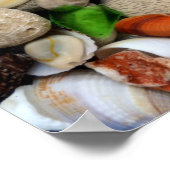 Petoskey Stones 3,0 Poster (Ecke)