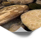 Petoskey Stones mit Muscheln l Poster (Ecke)
