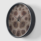 Petosky Steinmuster michigan große Seen Uhr (Winkel)