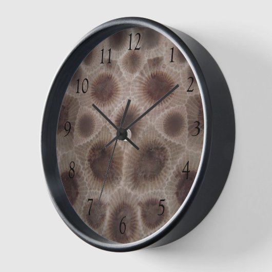 Petosky Steinmuster michigan große Seen Uhr (Winkel)