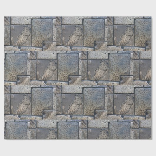 Petoskykardie Geschenkpapier (Flach)