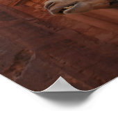 Petra Camel Print Poster (Ecke)