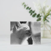 Petra Ferocious Postkarte (Stehend Vorderseite)