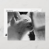 Petra Ferocious Postkarte (Vorne/Hinten)