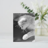 Petra Poised Postkarte (Stehend Vorderseite)