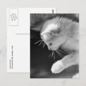 Petra Poised Postkarte (Vorne/Hinten)