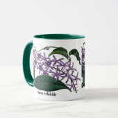 Petrea Volubilis Tasse (Vorderseite Links)