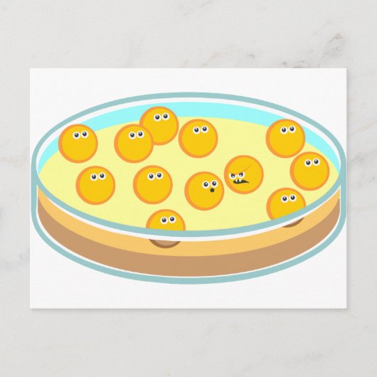 Petri Dish MRSA Postkarte (Vorderseite)