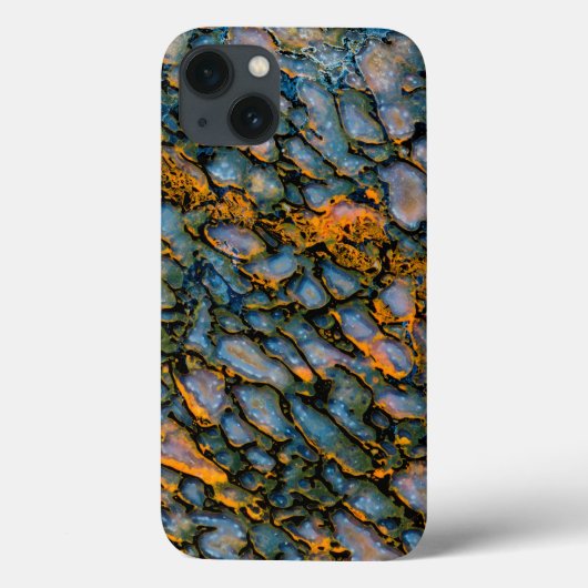 Petrified Dinosaur Bone Case-Mate iPhone Hülle (Rückseite)