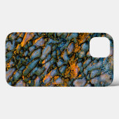 Petrified Dinosaur Bone Case-Mate iPhone Hülle (Rückseite (Horizontal))