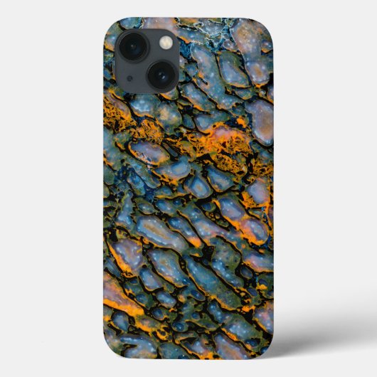 Petrified Dinosaur Bone Case-Mate iPhone Hülle (Rückseite)