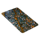 Petrified Dinosaur Bone Magnet (Rechte Seite)