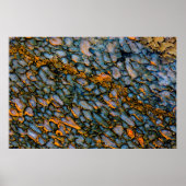 Petrified Dinosaur Bone Poster (Vorne)