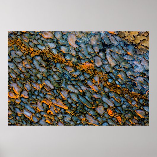 Petrified Dinosaur Bone Poster (Vorne)