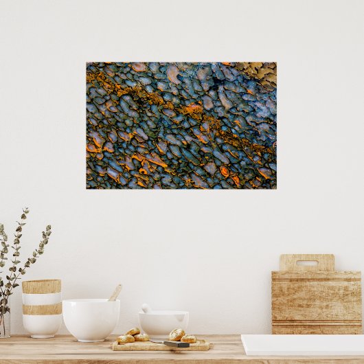 Petrified Dinosaur Bone Poster (Küche)