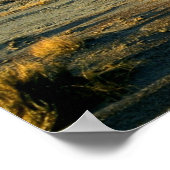 Petrified Forest Desert Arizona Landschaftsbild Fo Poster (Ecke)