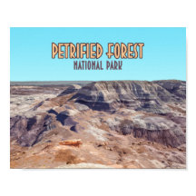 Petrified Forest National Park Arizona Vintag