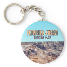Petrified Forest National Park Arizona Vintag