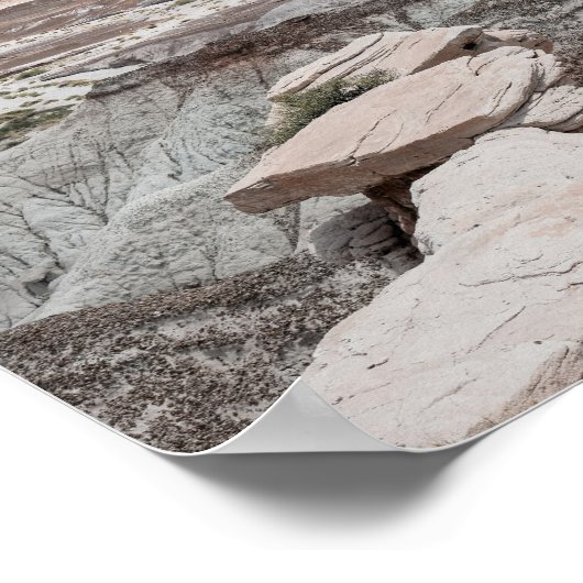 Petrified Forest Print Poster Paper (Semi-Gloss) (Ecke)