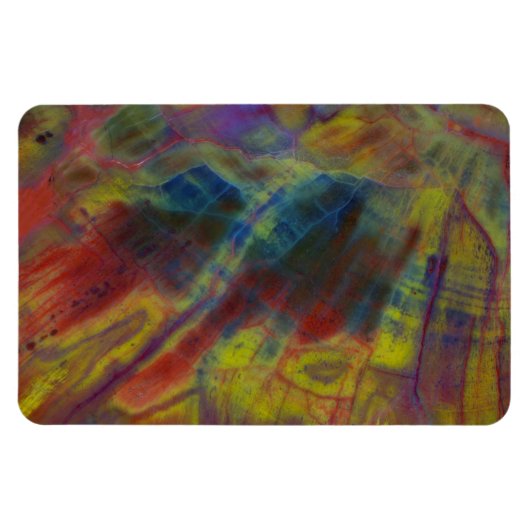 Petrified Wood Magnet (Horizontal)