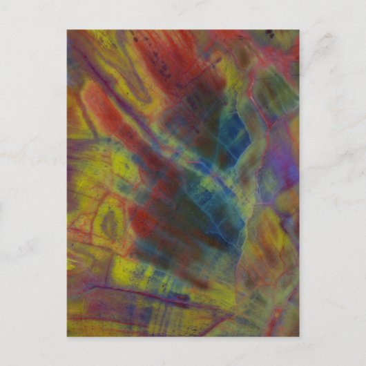 Petrified Wood Postkarte (Vorderseite)