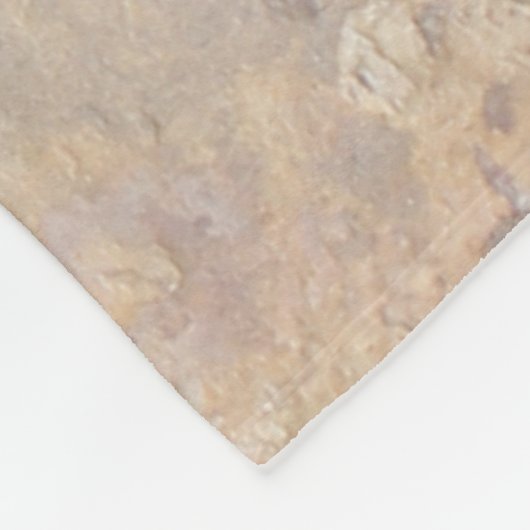 Petroglyph-Panel Fleecedecke (Ecke)