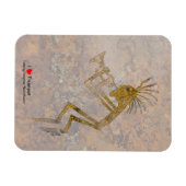 Petroglyphe-Trompeter Magnet (Horizontal)