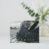 Petroglyphs, Olympic National Park, Washington Postkarte (Stehend Vorderseite)