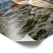 Petros Fotodruck (Ecke)