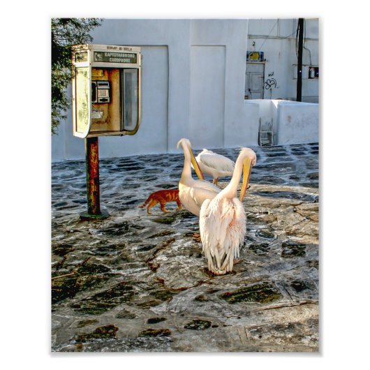 Petros Fotodruck (Vorne)