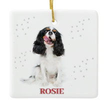 Pet's erste Weihnachten in Forever Zuhause Modern