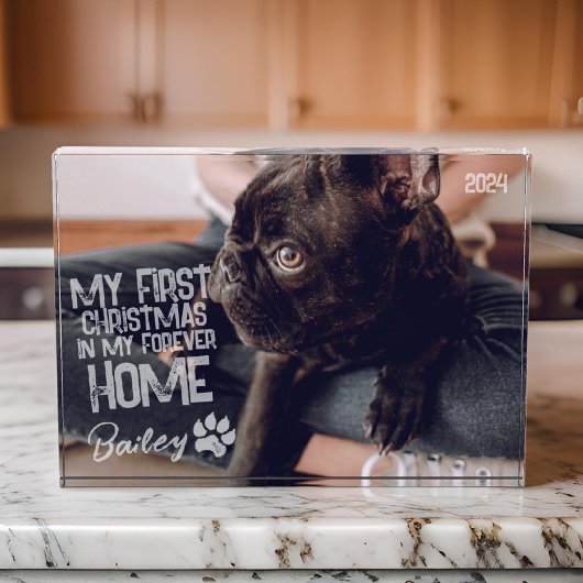 Pet's First Christmas Forever Zuhause Modern Grung Fotoblock