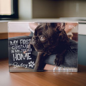 Pet's First Christmas Forever Zuhause Modern Grung Fotoblock