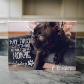 Pet's First Christmas Forever Zuhause Modern Grung Fotoblock