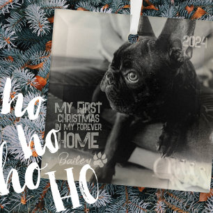 Pet's First Christmas Forever Zuhause Modern Grung Ornament Aus Glas