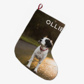 Pet's First Christmas Foto Große Weihnachtszeit St Großer Weihnachtsstrumpf (Vorderansicht (hängend))