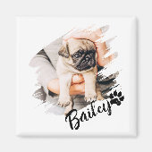Pet's Modern Simple Cool Typography Name and Photo Magnet (Vorne)