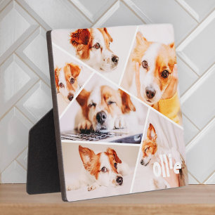 Pets Modern Simple Custom 6 Images Collage Photo Fotoplatte