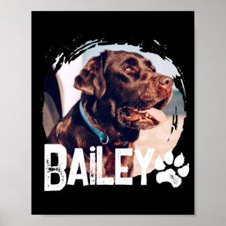 Pets Simple Modern Cool Nge Name And Photo  Poster