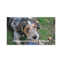 Petsitting Hundepathos