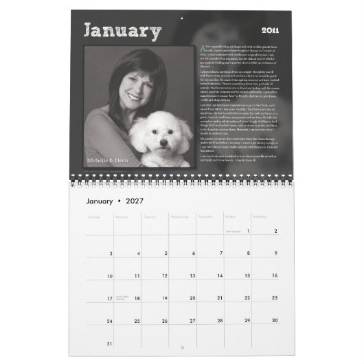 PetsNPatients 2011 Kalender (Jan 2027)