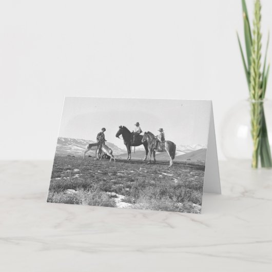 Petting Antelopes. Karte (Vorderseite)