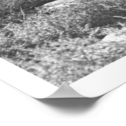 Petting Antelopes. Poster (Ecke)