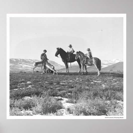 Petting Antelopes. Poster (Vorne)