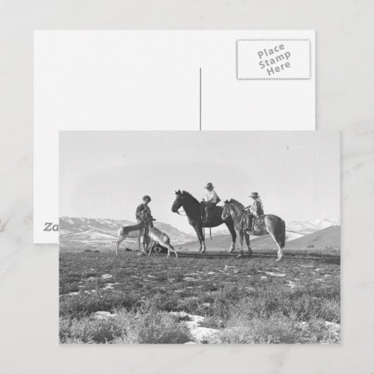 Petting Antilopen Postkarte (Vorne/Hinten)