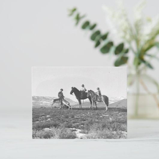 Petting Antilopen Postkarte (Stehend Vorderseite)