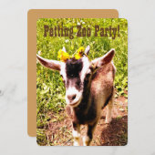 Petting Zoo Party! Passen Sie diese Einladung an. (Vorne/Hinten)