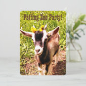 Petting Zoo Party! Passen Sie diese Einladung an. (Stehend Vorderseite)