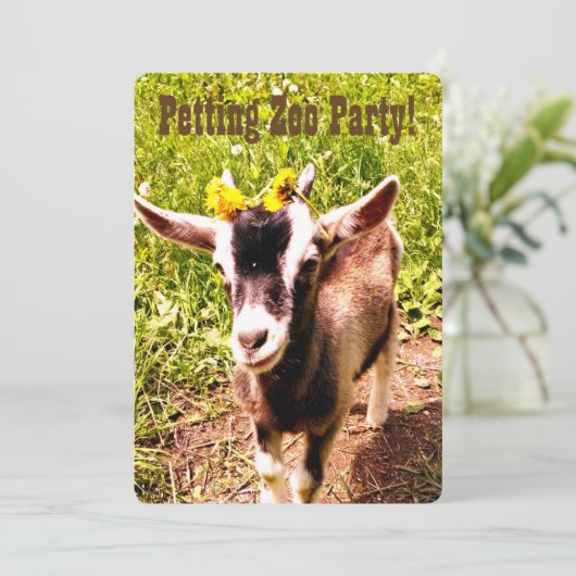 Petting Zoo Party! Passen Sie diese Einladung an. (Stehend Vorderseite)