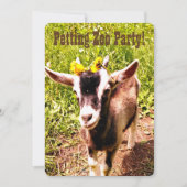 Petting Zoo Party! Passen Sie diese Einladung an. (Vorderseite)
